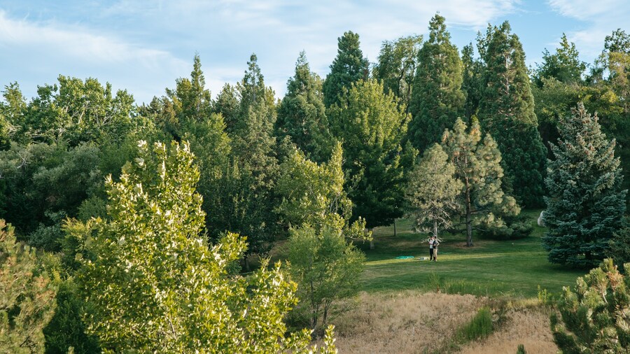 Rancho San Rafael Park which includes landscape views and golf