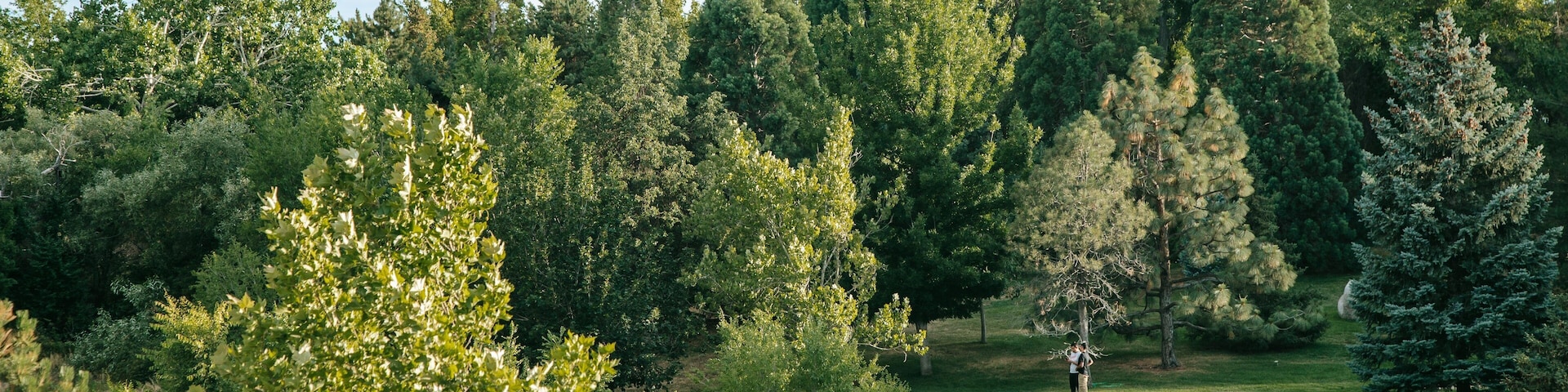 Rancho San Rafael Park which includes landscape views and golf