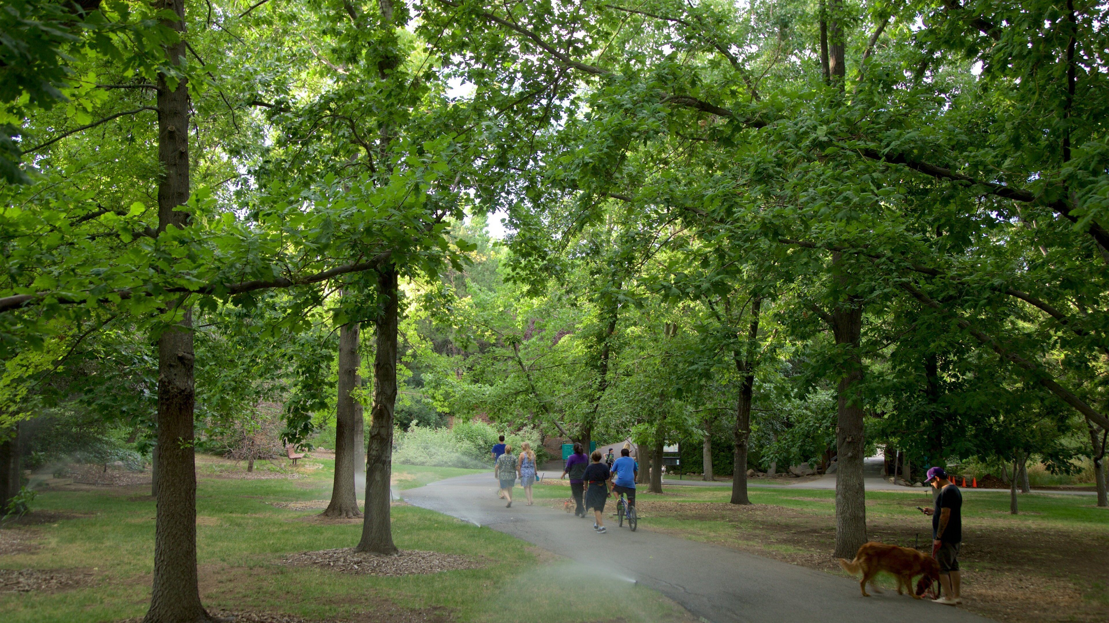 Rancho San Rafael Park