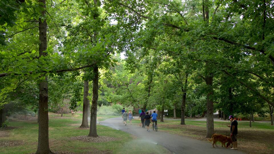 Rancho San Rafael Park