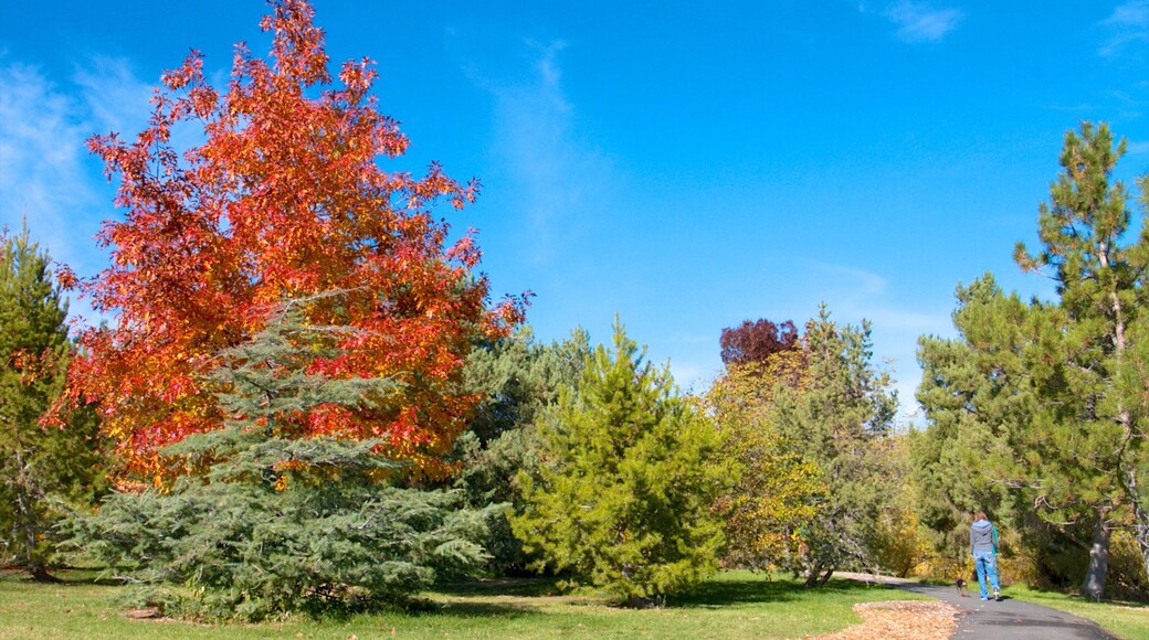 Rancho San Rafael Park which includes a garden