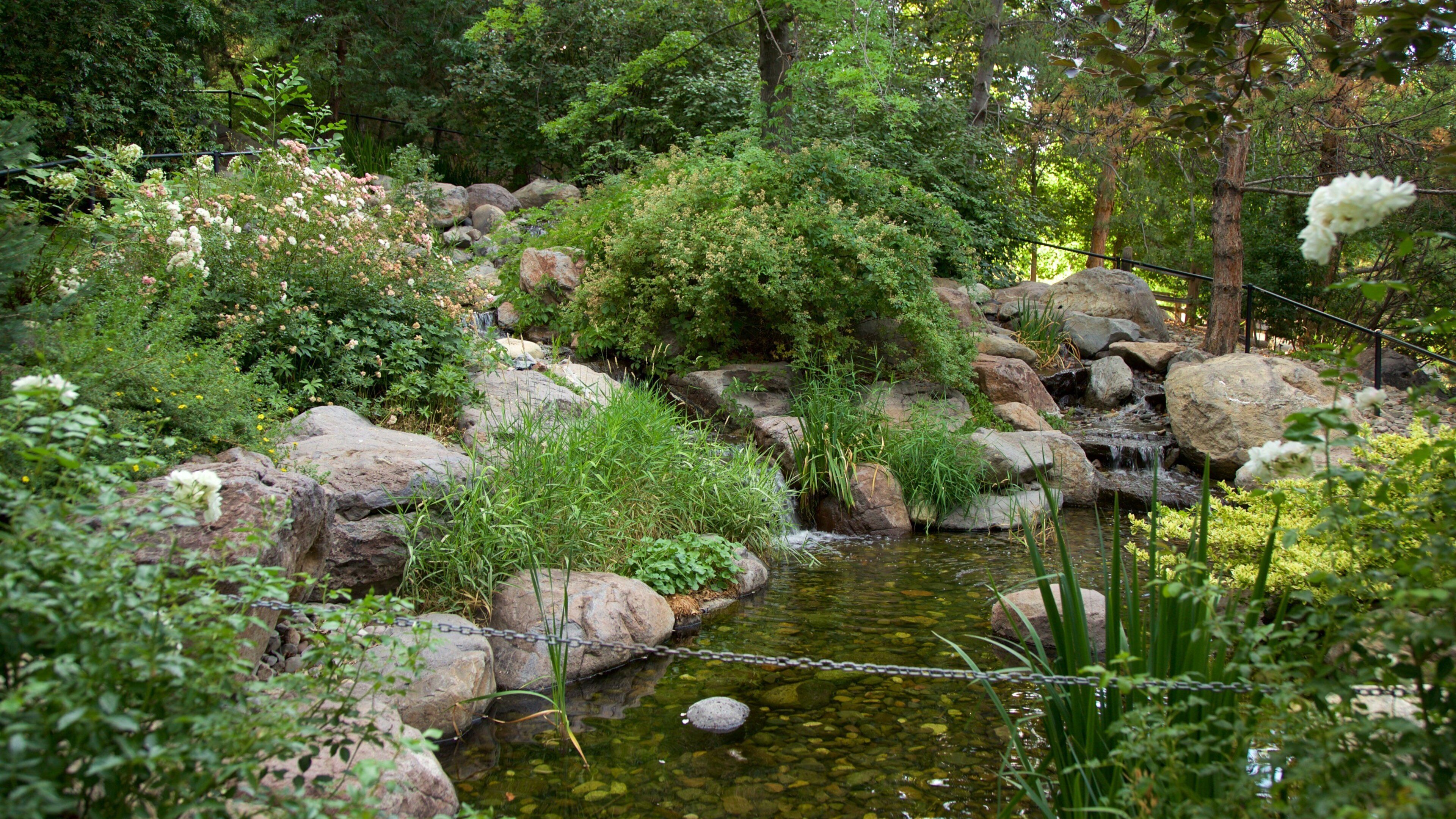 蘭喬聖拉斐爾公園 设有 池塘 和 花園