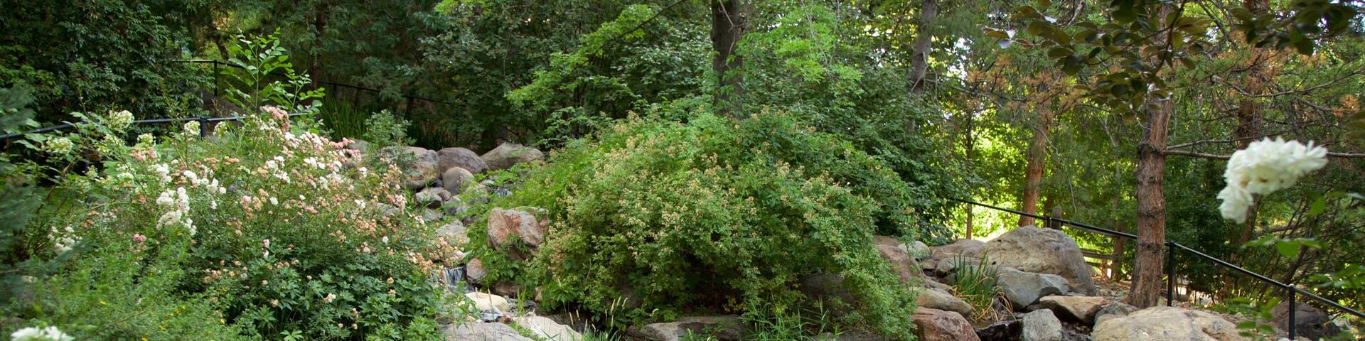 Rancho San Rafael Park