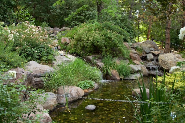 Rancho San Rafael Park welches beinhaltet Teich und Garten