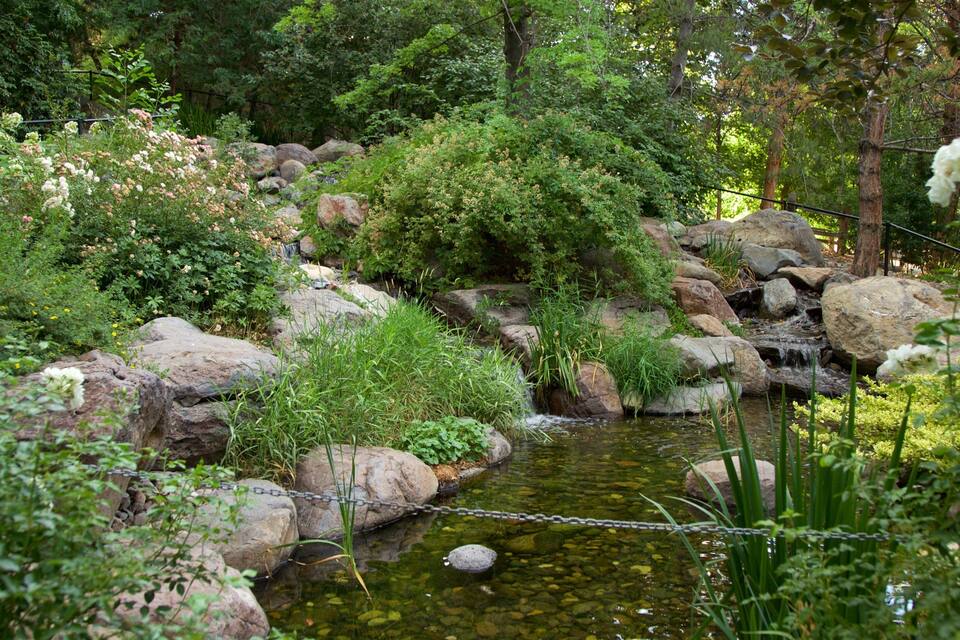 A serene garden with a small stream, large rocks, and lush greenery.
