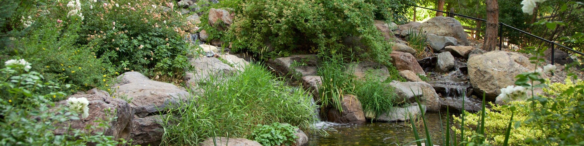 Rancho San Rafael Park welches beinhaltet Teich und Garten