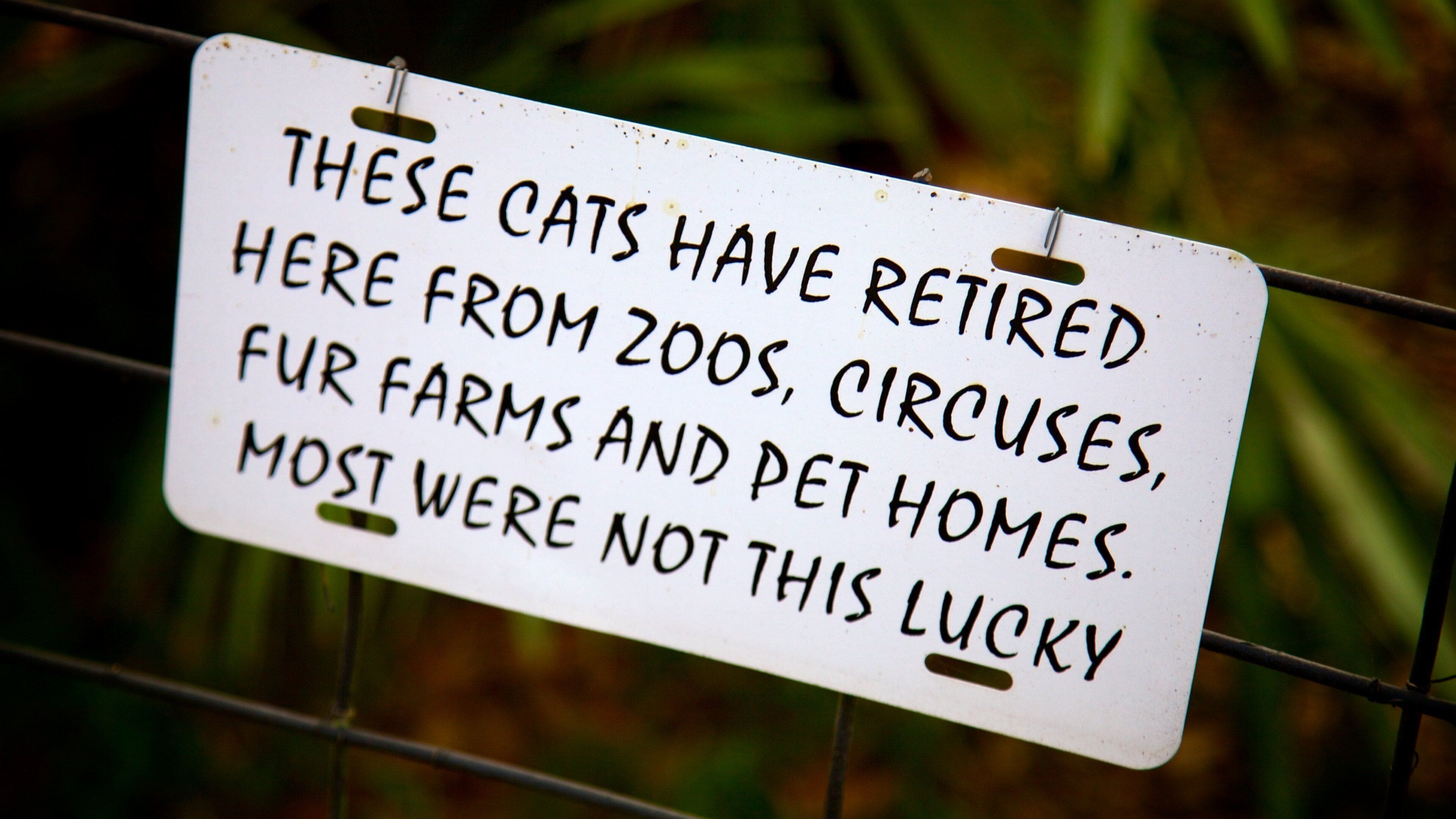 老虎保護區 设有 動物園的動物 和 看板