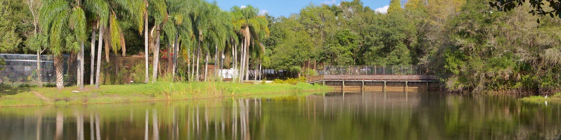 Exploring the serene landscape of Big Cat Rescue in Tampa, Florida, showcasing lush greenery and tranquil waters