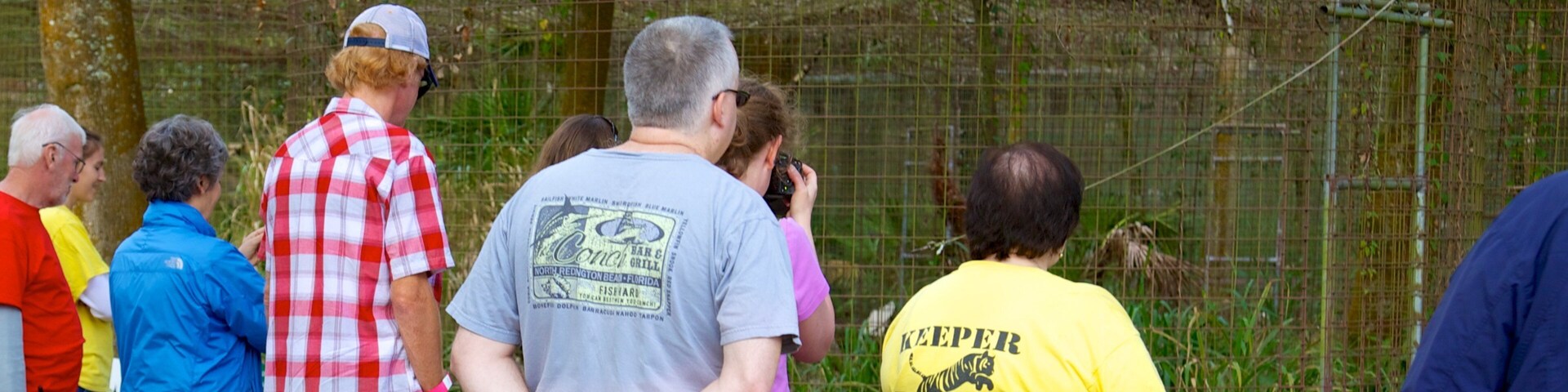 Big Cat Rescue caracterizando animais de zoológico assim como um grande grupo de pessoas