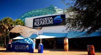 Florida Aquarium which includes signage