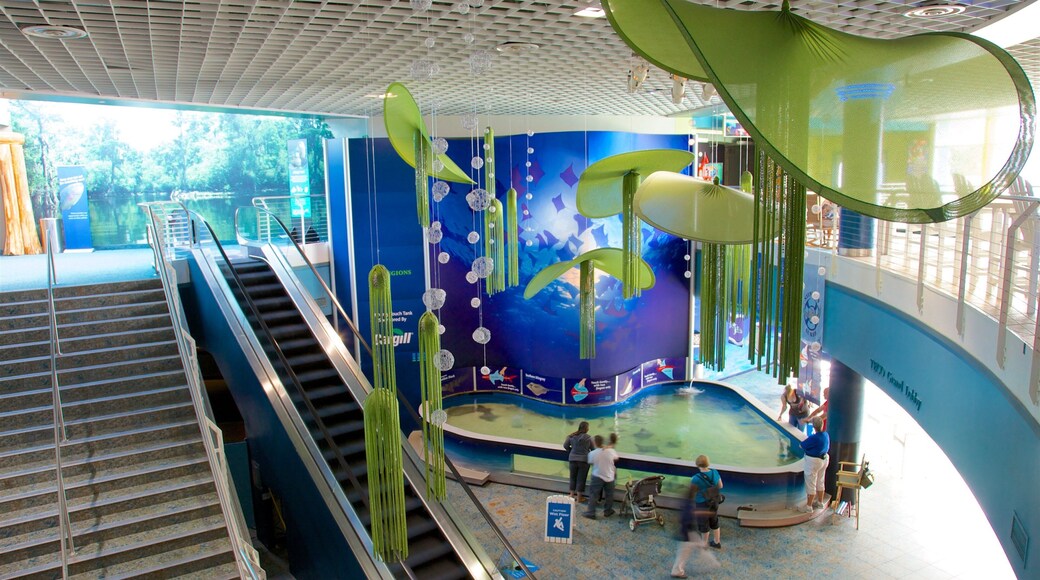 Florida Aquarium showing interior views and marine life as well as a small group of people