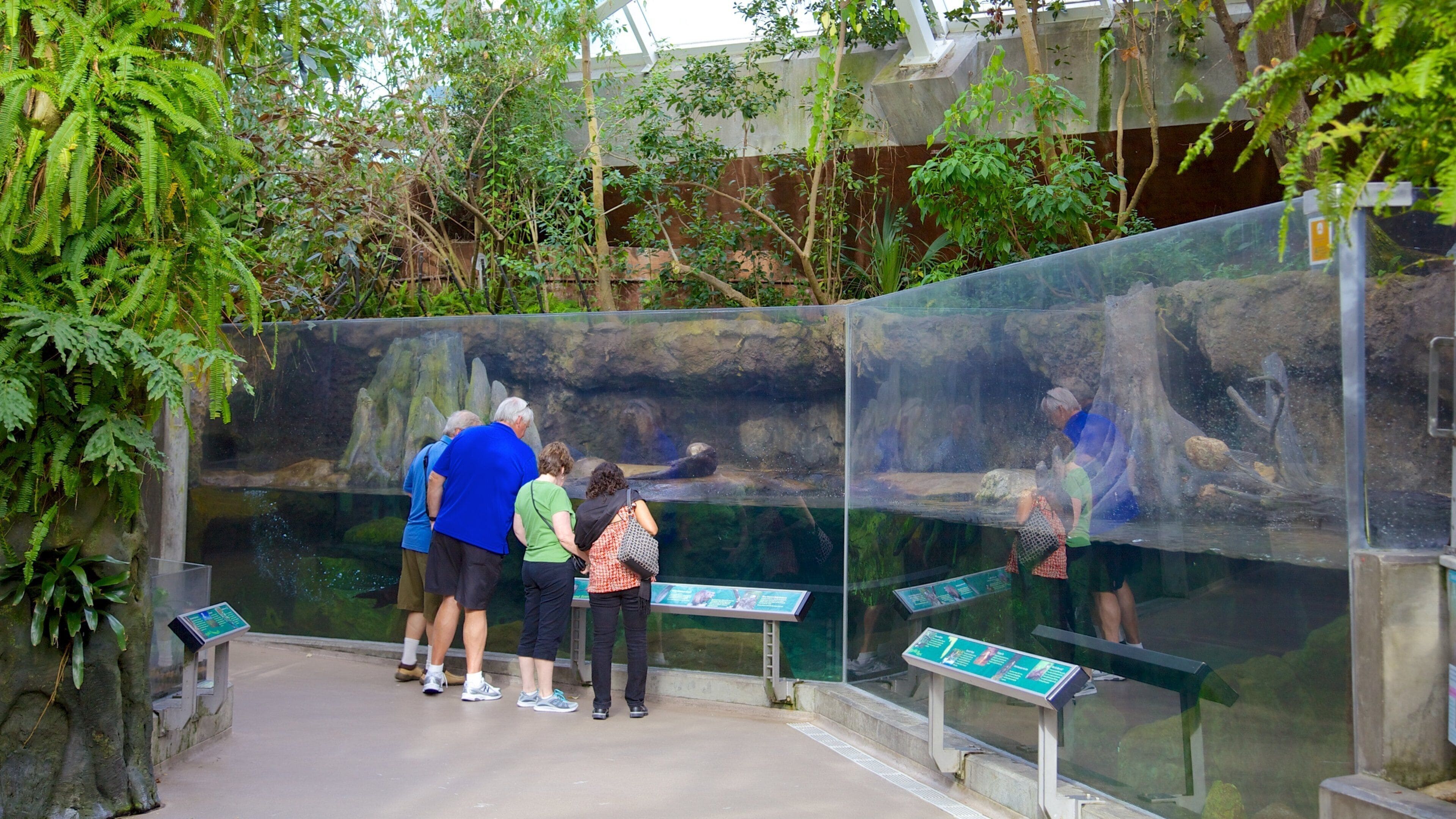 플로리다 아쿠아리움 을 보여주는 해양 생물 과 실내 전경 뿐만 아니라 가족