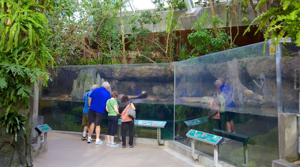 플로리다 아쿠아리움 을 보여주는 해양 생물 과 실내 전경 뿐만 아니라 가족