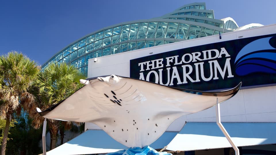 Florida Aquarium showing marine life
