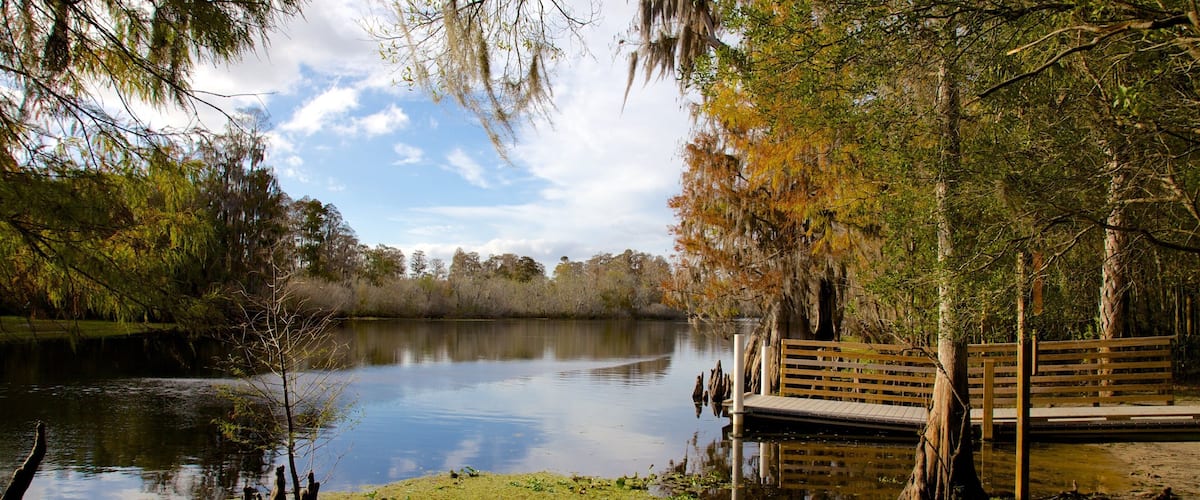 Lettuce Lake Park joka esittää suo ja järvi tai vesikuoppa