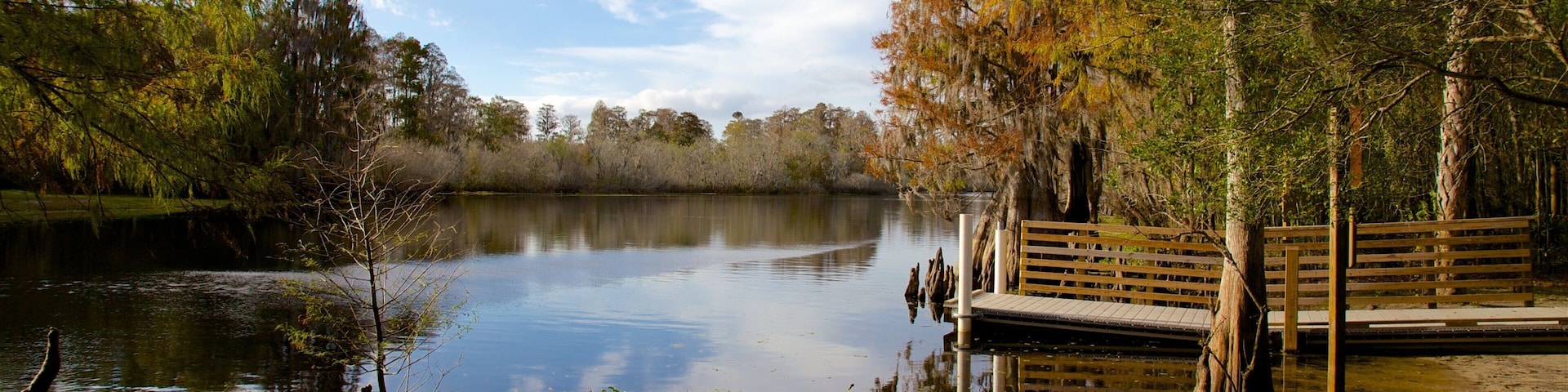 Lettuce Lake Park showing a lake or waterhole and wetlands