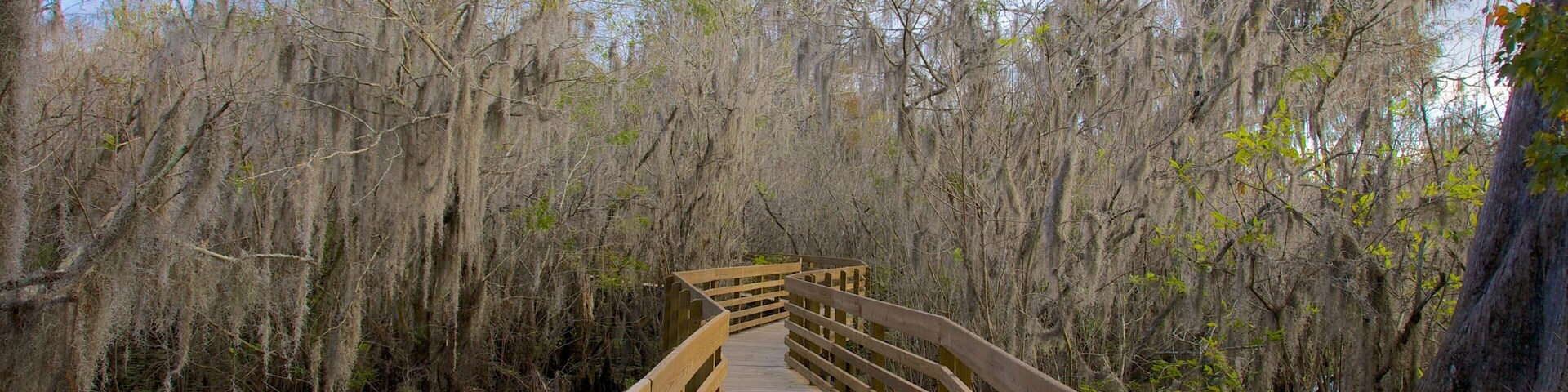Lettuce Lake Park which includes landscape views and a park