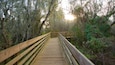 Lettuce Lake Park which includes a bridge