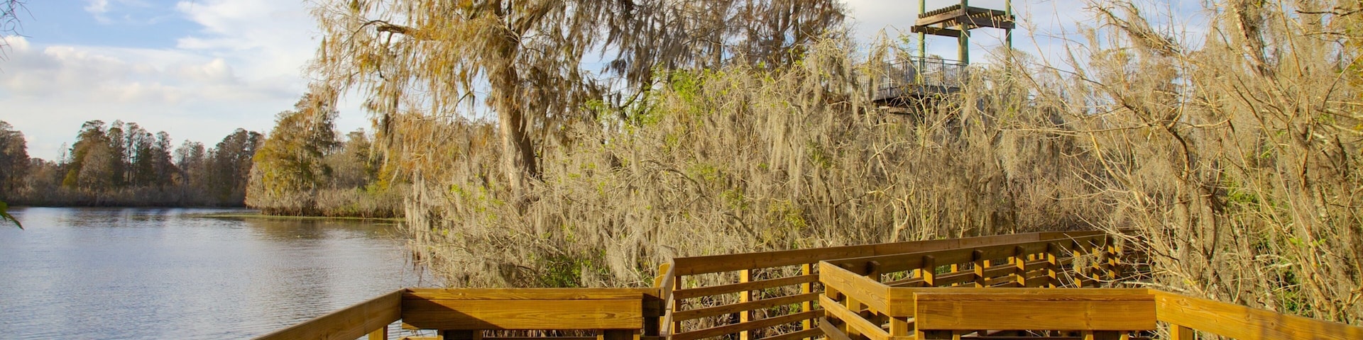 Lettuce Lake Park showing a lake or waterhole and a park