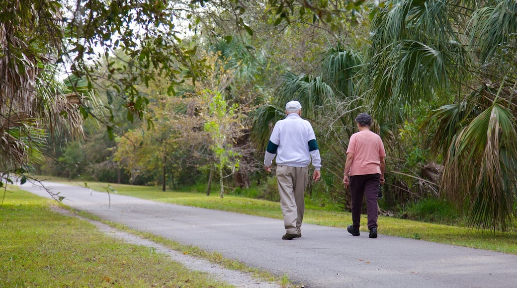 Al Lopez Park som viser hage i tillegg til par
