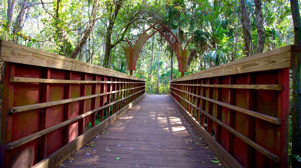 Al Lopez Park fasiliteter samt bro og hage