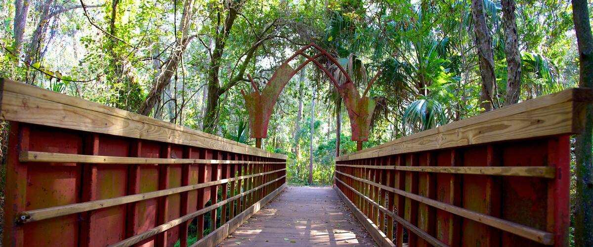 Al Lopez Park featuring a garden and a bridge