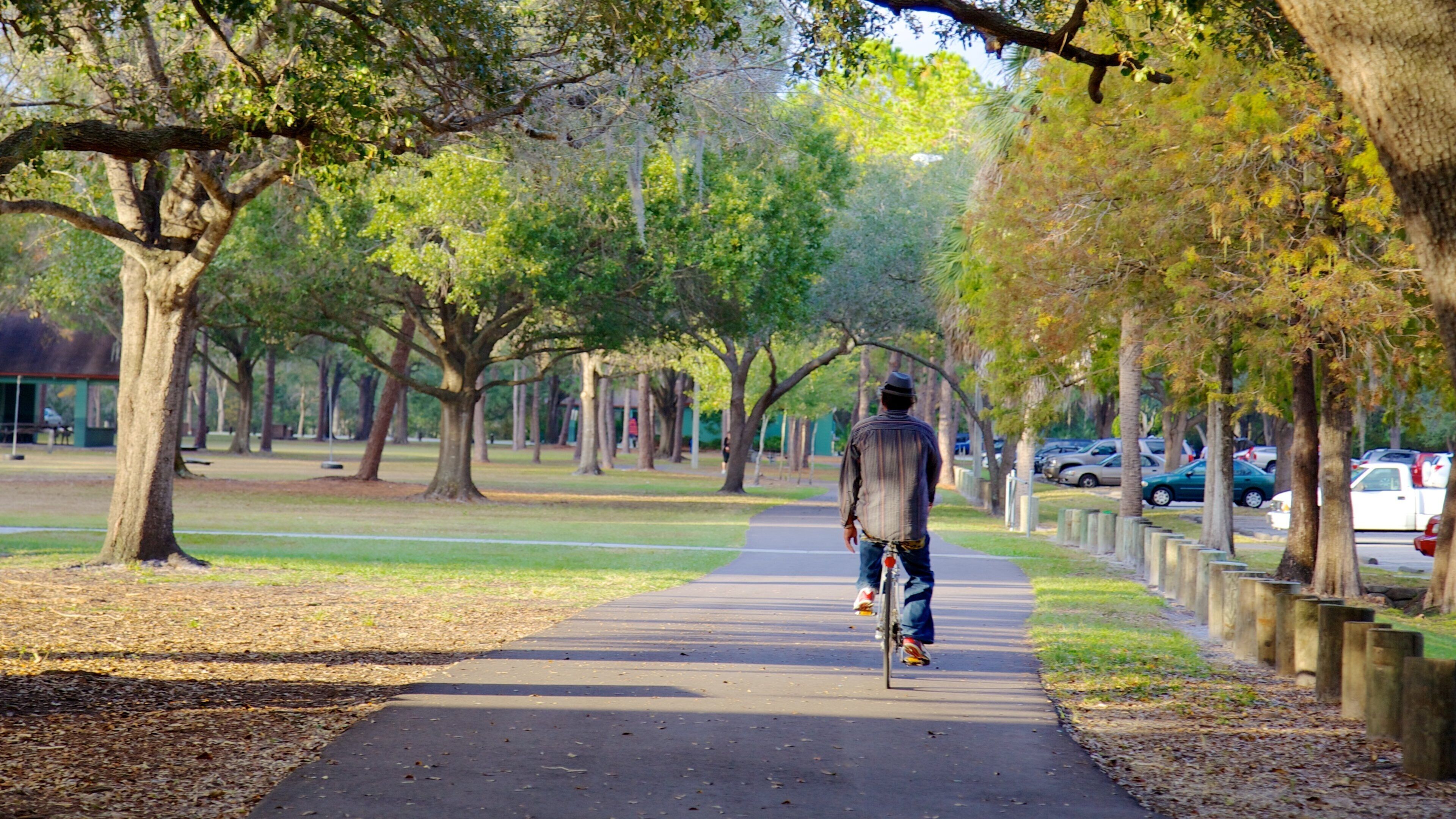 A man walking on a paved path in a park with trees and parked cars.