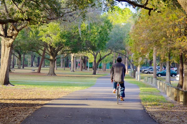 A man walking on a paved path in a park with trees and parked cars.