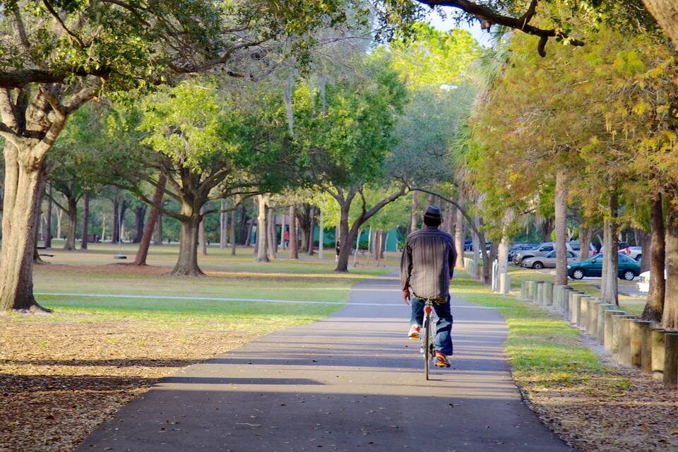 A man walking on a paved path in a park with trees and parked cars.