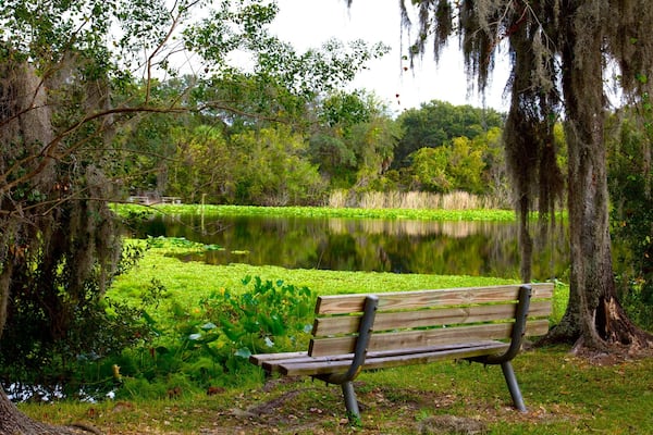 Al Lopez Park showing a park and a pond