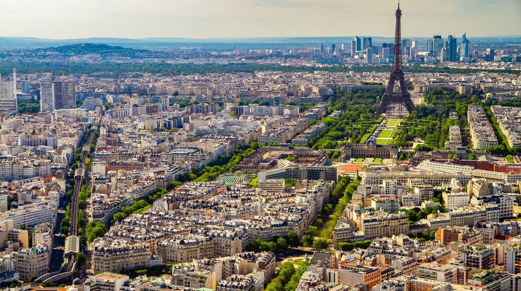 Eiffel Tower showing landscape views and a city
