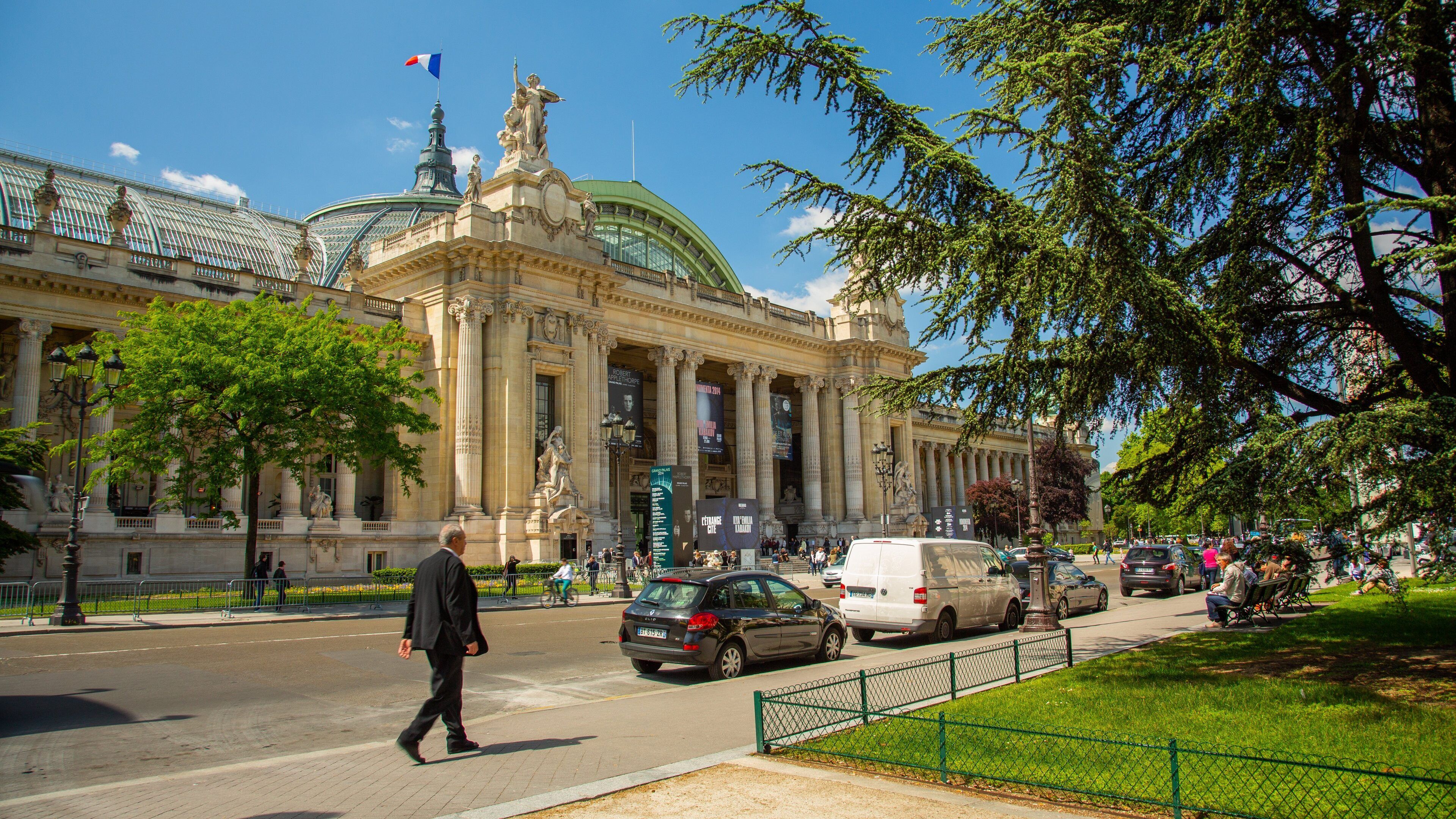 Grand Palais featuring heritage architecture