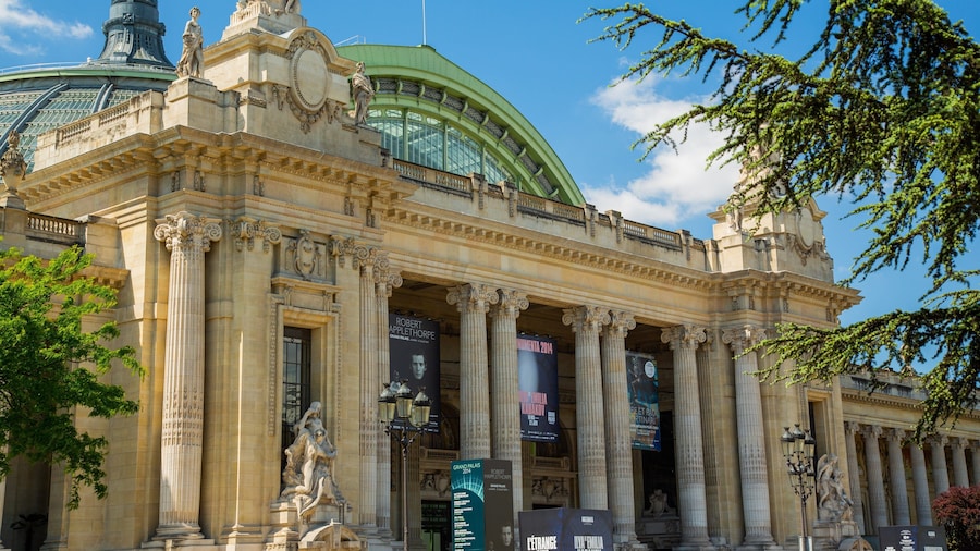 Grand Palais featuring heritage architecture