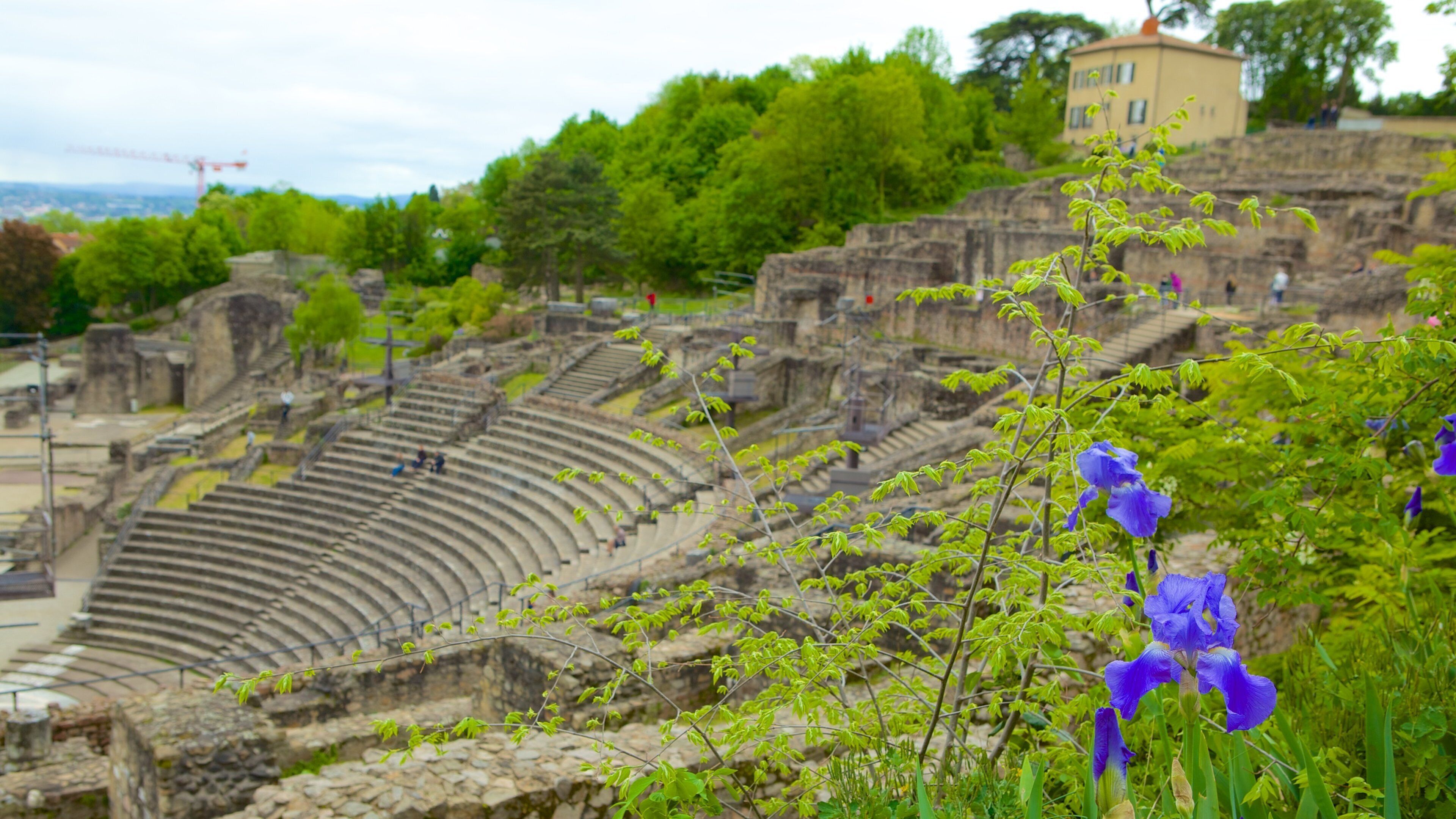 Roman Theatres of Fourviere featuring building ruins
