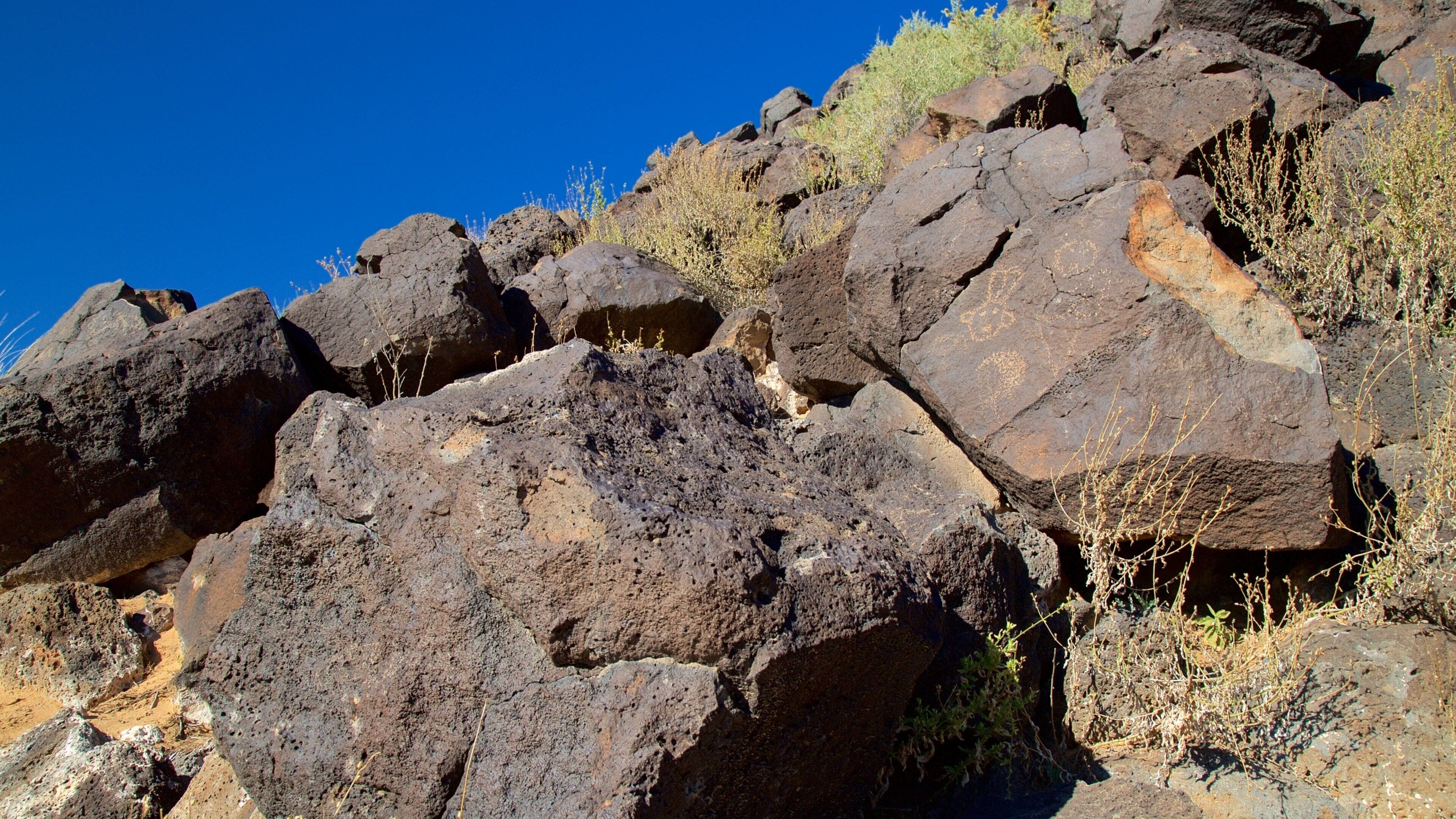 Petroglyph National Monument que incluye escenas tranquilas