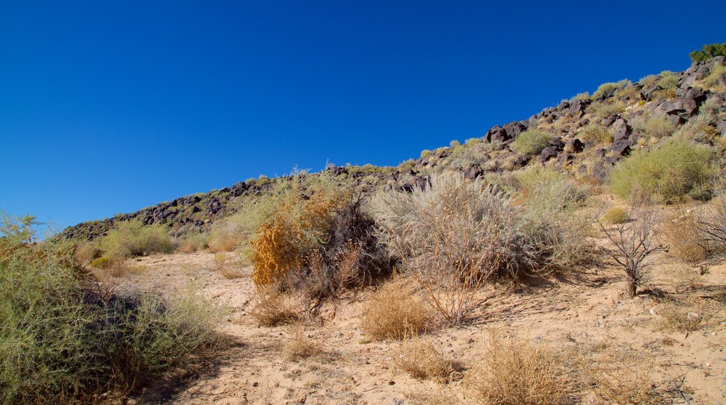 Petroglyph National Monument mit einem ruhige Szenerie