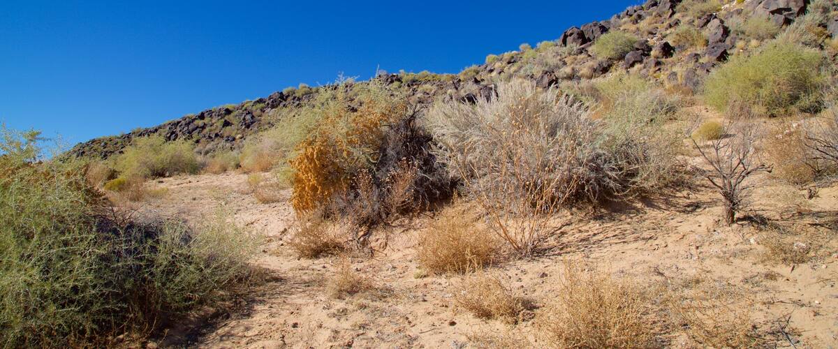 ペトログリフ国立史跡 表示 静かな風景
