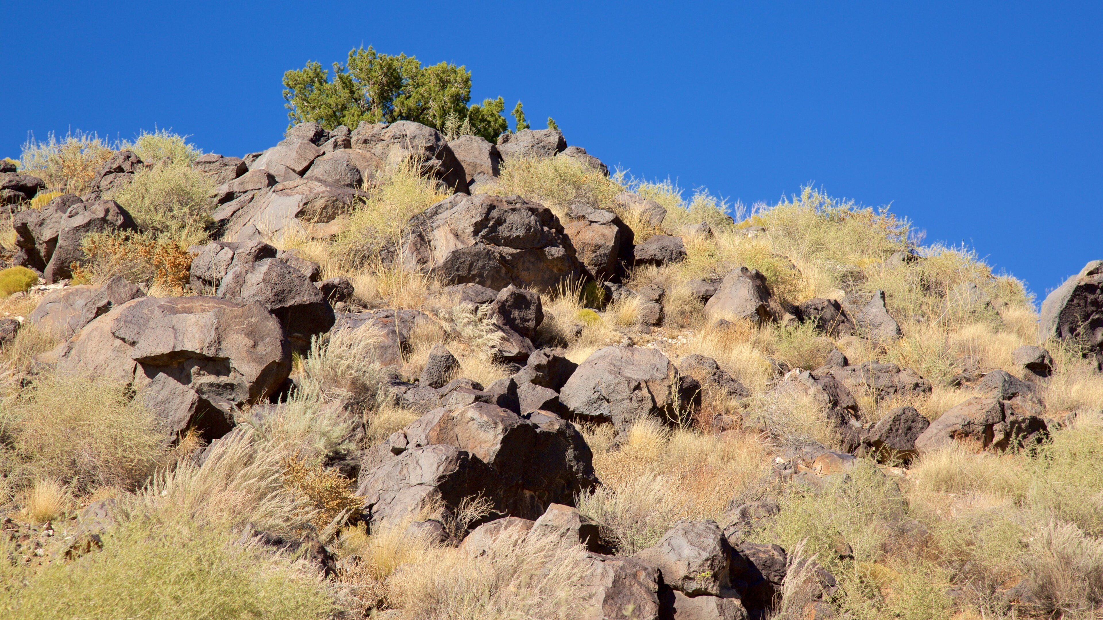 Petroglyph National Monument welches beinhaltet ruhige Szenerie