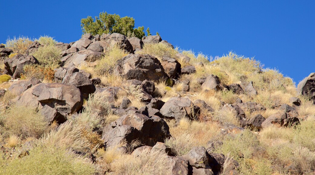 Petroglyph National Monument welches beinhaltet ruhige Szenerie
