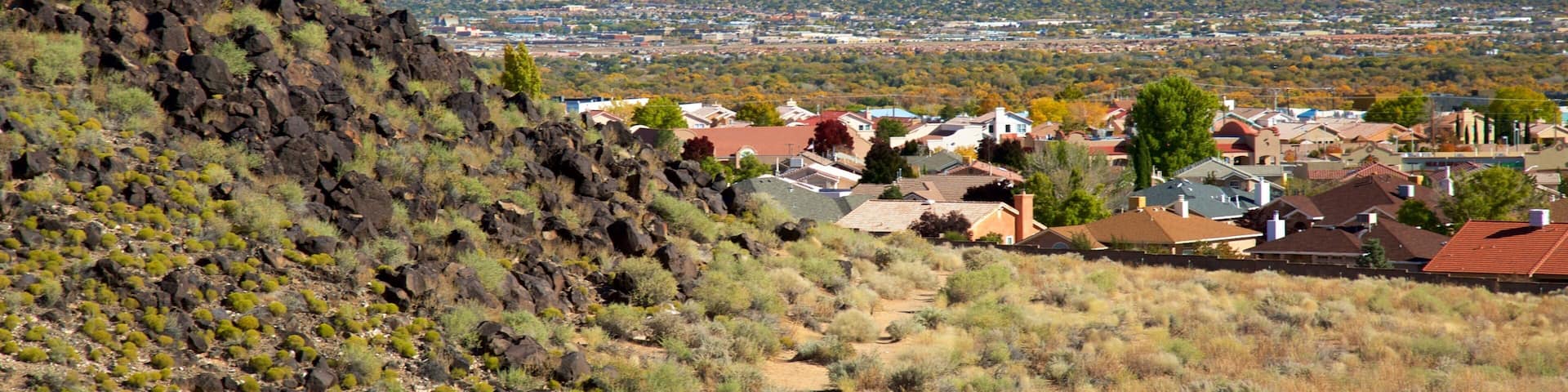 Petroglyph National Monument featuring mountains