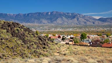 Petroglyph National Monument