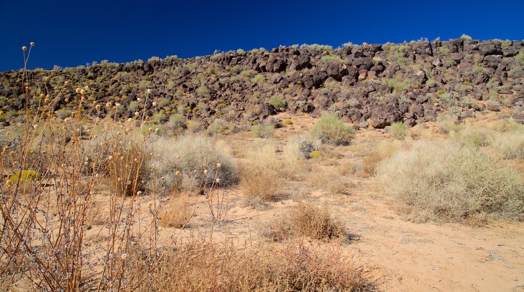 Petroglyph National Monument mit einem ruhige Szenerie