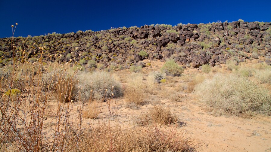 Petroglyph National Monument