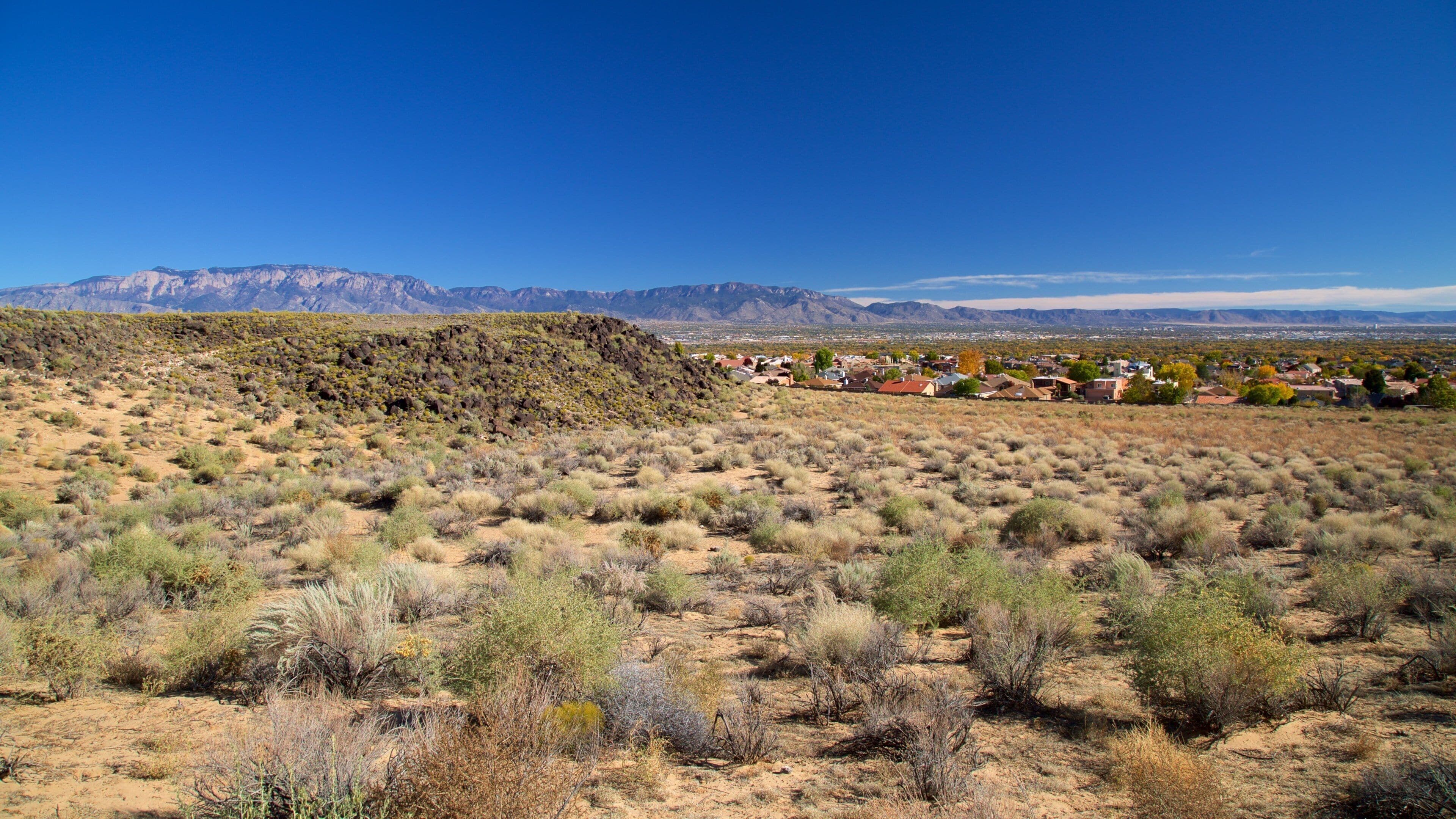 Petroglyph National Monument que incluye escenas tranquilas