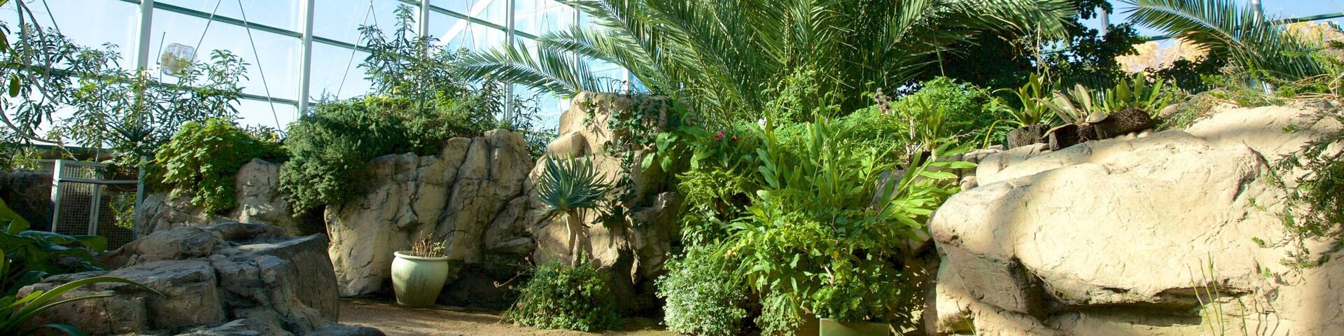 ABQ BioPark Botanic Garden which includes interior views and a park