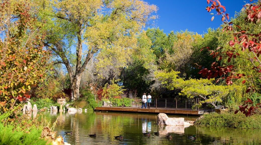 Rio Grande Botanical Garden mostrando un estanque y un parque