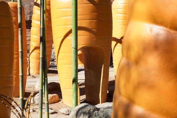 ABQ BioPark Botanic Garden featuring outdoor art