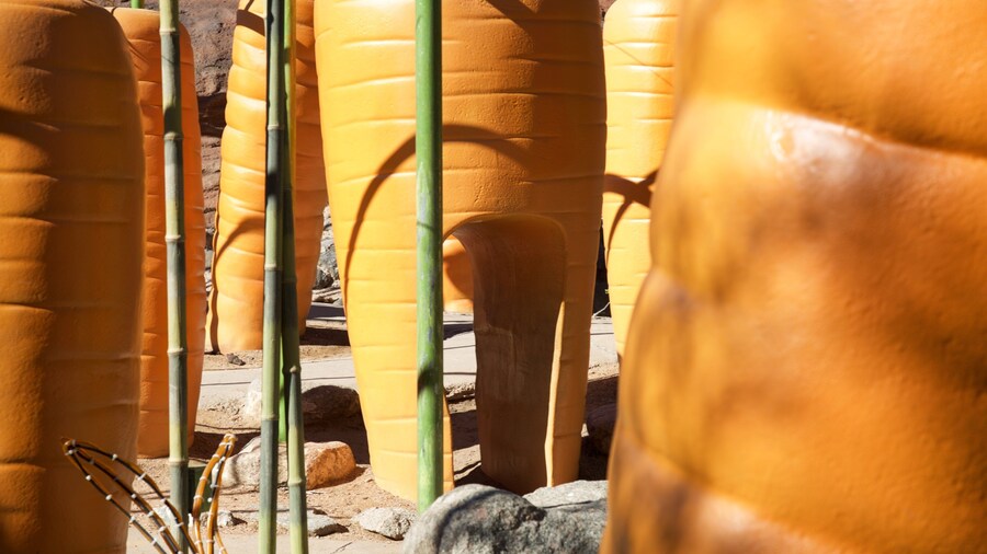 ABQ BioPark Botanic Garden showing outdoor art