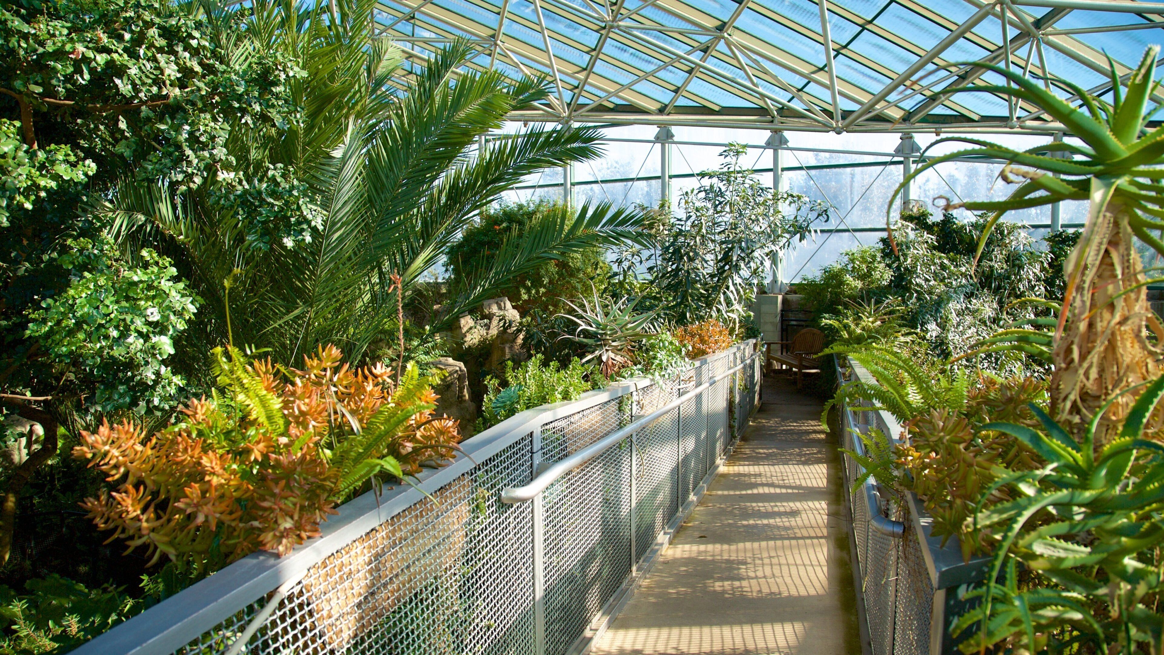 Rio Grande Botanical Garden ofreciendo un parque y vistas de interior