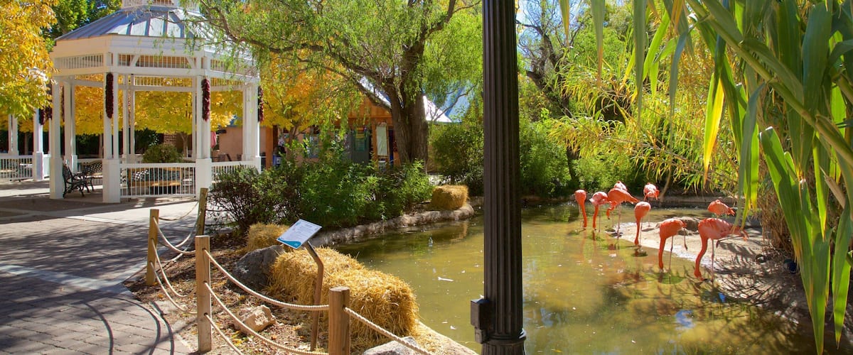 Rio Grande Zoo ofreciendo animales del zoológico